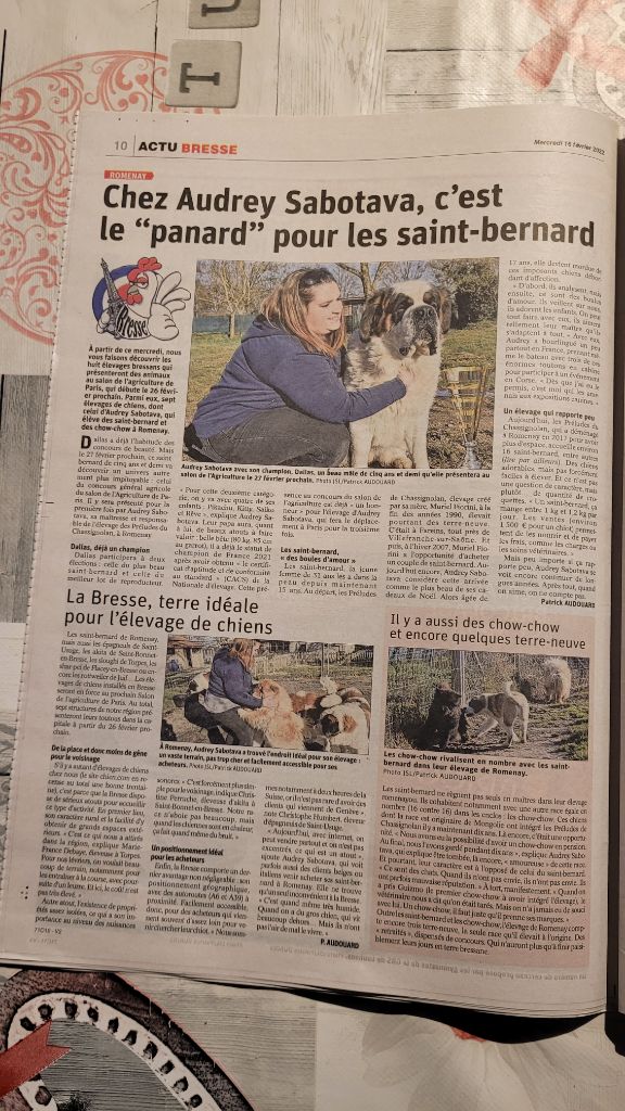 des préludes du chassignolan - Dallas dans le journal